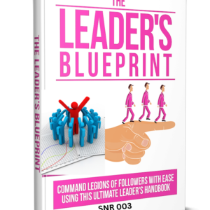 the leader’s blueprint